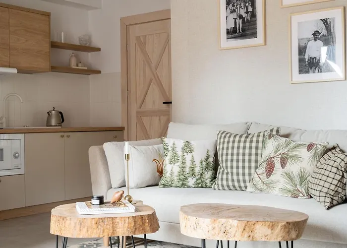 Kominkowy Chill - Wellness, Balie, Sauna Finska I Infrared Biały Dunajec